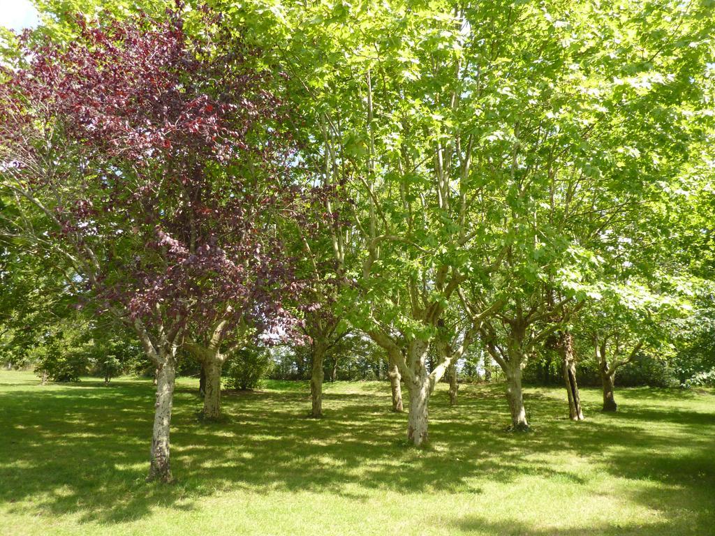 Отель Camping Parc Du Chateau D'Allot Боэ Экстерьер фото
